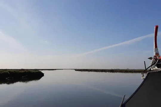 Moliceiro boat tour through the Ria de Aveiro!