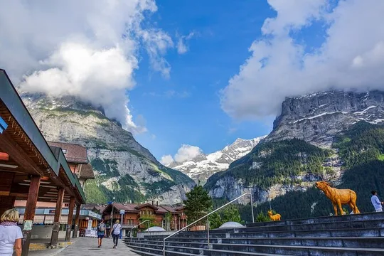 Zurich: Private Daytrip to Swiss Villages(Interlaken-Grindelwald)