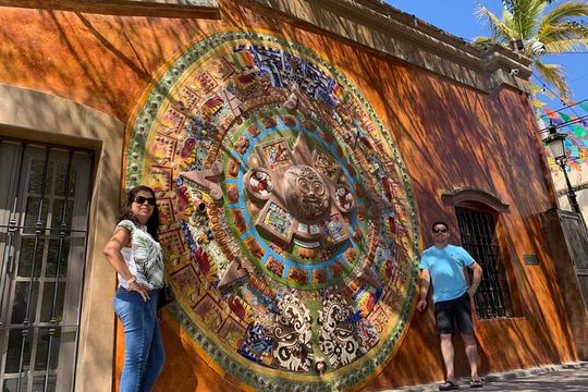 Half-Day: Guided Tour to Todos Santos Magical Town