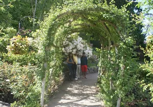 3-Day Vancouver City Tour Package With Whistler and Victoria Optional Private