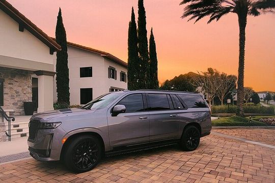 Private Transport: Orlando Airport to Lake Buena Vista Hotels