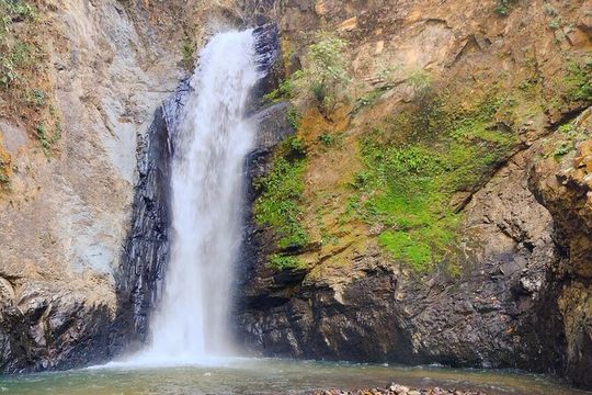 Private Tour: Botanical Garden & Petroglyphs