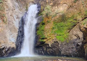 Private Tour: Botanical Garden, Petroglyphs & Mexican Food