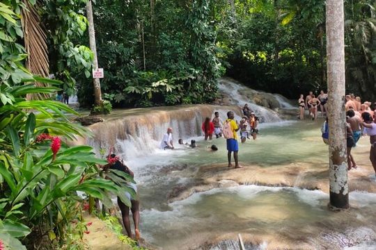 Private YS Falls and Black River Safari from Montego Bay