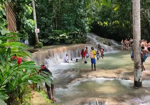 Private YS Falls and Black River Safari from Montego Bay