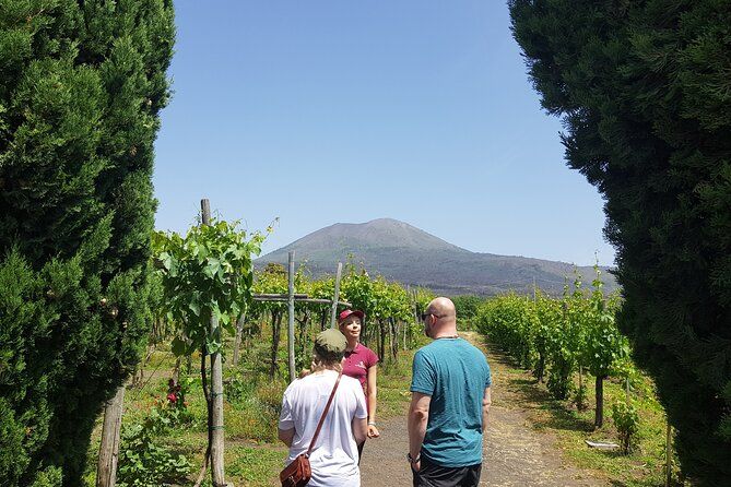 Enjoy the Amalfi coast ( Rvello & Amalfi ) and wine testing