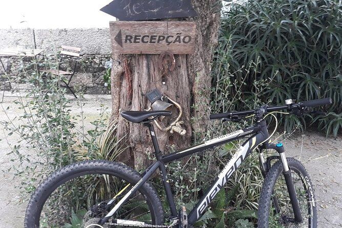 Rent mountain bike for bike path old railway to Famalicão
