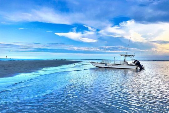 Savannah Coastal Dolphin Eco Tour