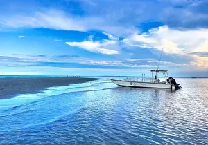 Savannah Coastal Dolphin Eco Tour