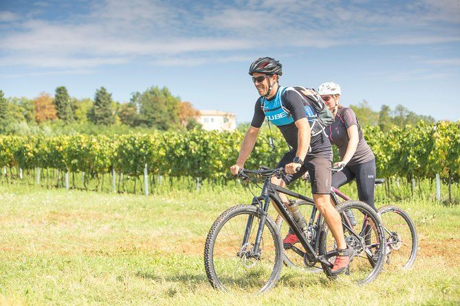 5-Days Guided Bike Tour in Istria with Private Accommodation
