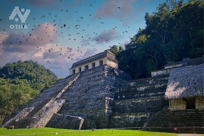 Xel-Ha Park All-Inclusive Tour from Cancun & Playa del Carmen