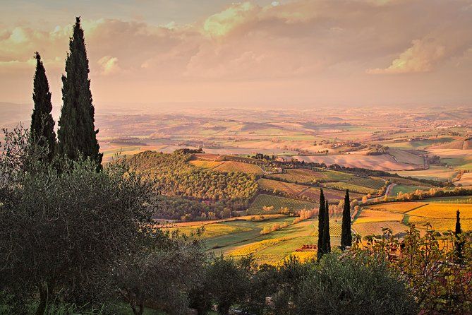 Montalcino and Pienza Tour from Rome