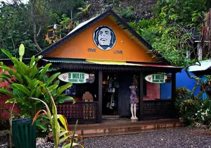 NineMile Tour: Journey to Bob Marley’s Birthplace & Resting Place