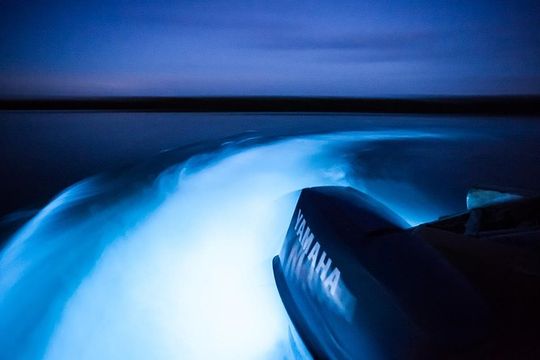 Luminous Lagoon Tour from Montego Bay