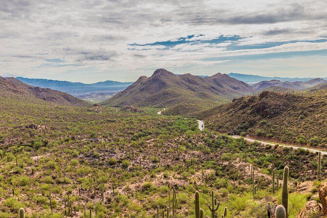 Saguaro National Park Self-Guided Audio Tour