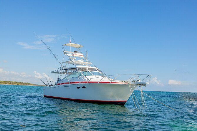 Reel Adventures: A Fin-tastic Fishing Tour