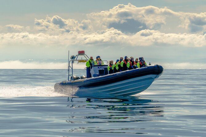 Puffin Watching Speedboat Express