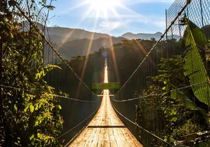 Zip Line, Mules Ride and Walk on the Hanging Bridge