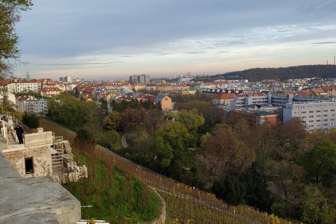 Private Holiday Movie Sites and City Lights Guided Tour