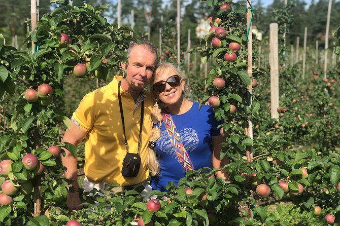 Experience the Best of Åland with a Private Guided Tour