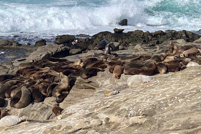 La Jolla Jig Scavenger Hunt