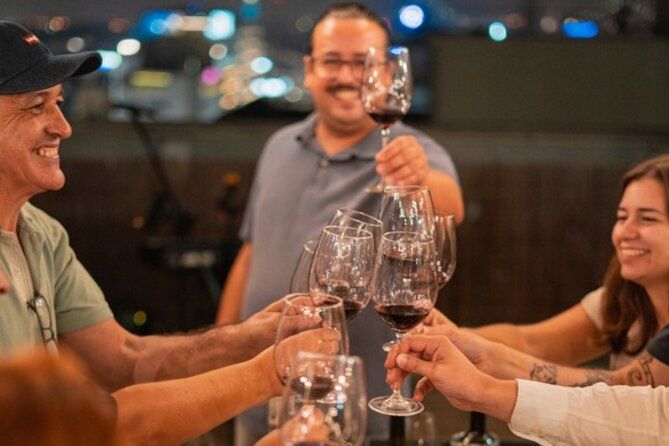 Lisbon: Rooftop Wine Tasting with Live Traditional Fado
