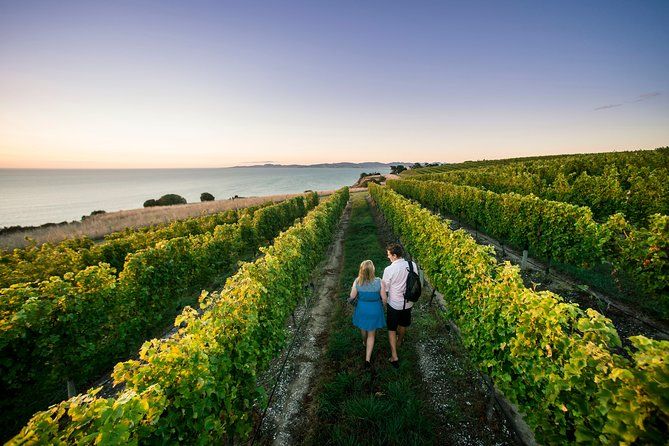 Private Marlborough Winery Tour