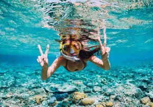 Exclusive Adrenaline Activities with Transport from Montego Bay