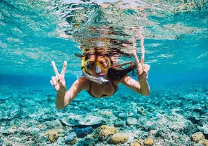 Exclusive Adrenaline Activities with Transport from Montego Bay