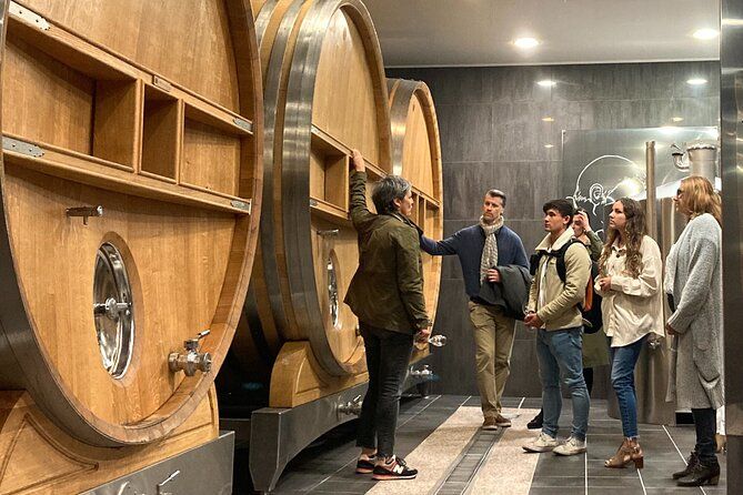 The Secrets of Champagne by a Passionate Winemaker (English)