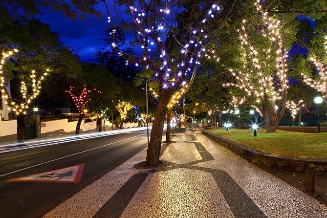 Tuk Tuk Funchal Magic Christmas Lights