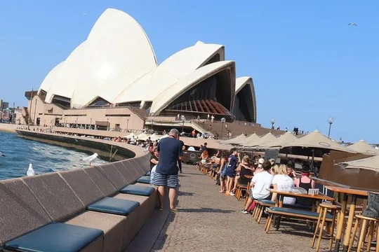 Private Luxury Half Day Sydney City Tour