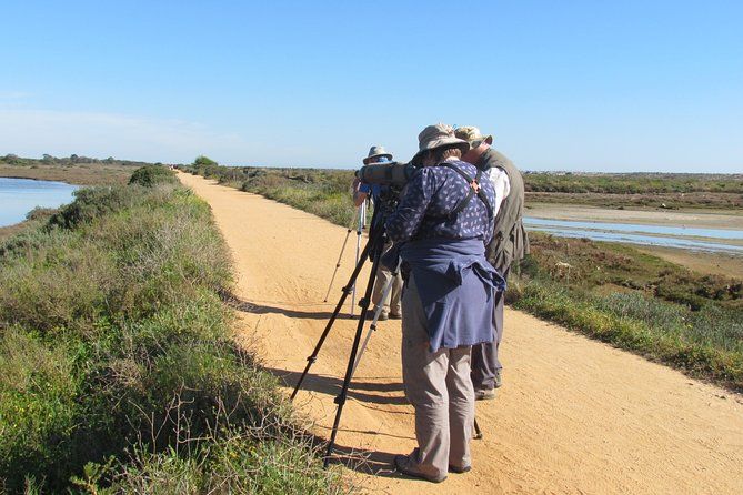 Half-day birdwatching around Tavira