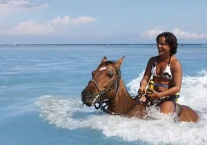 Jamaica Horse Ride Tour with Lunch and Shopping