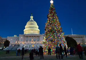 Holiday Lights Private Night Bus Tour of Washington DC-Private