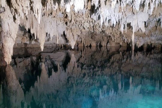 Private Half Day Swim with Turtles and Cenote