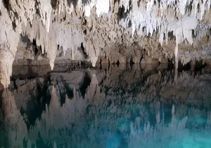 Private Half Day Swim with Turtles and Cenote