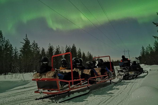 Northern Lights Sledge Ride