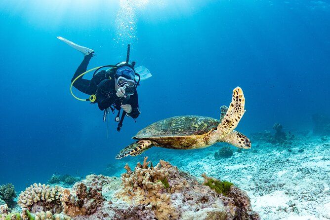 Private Scuba Diving Tour in San Juan