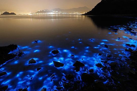 Luminous Lagoon Small Group Tour from Ocho Rios