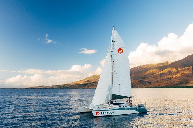 Morning Whale Watch: Lahaina Harbor