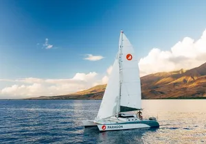 Morning Whale Watch: Lahaina Harbor