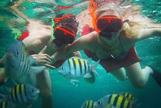 Party Catamaran Cruise with Open Bar and Snorkeling Montego Bay