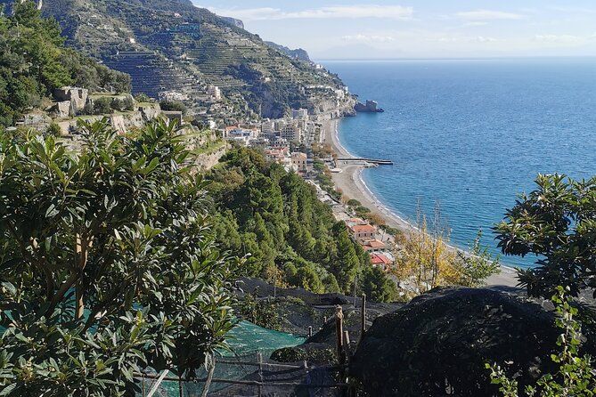 Private tour with tasting at the Sentiero dei Limoni