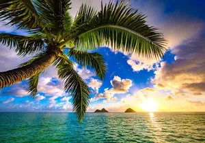 Shared Departure Transfer: Hotel to Maui Kahului Airport