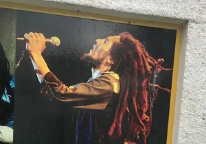 Small Group to Bob Marley Museum and Devon House from Montego Bay