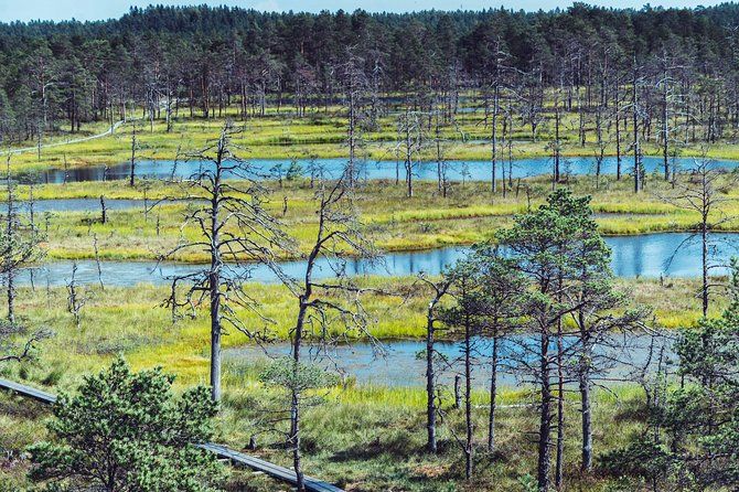 Self guided Walking in the Baltic States in 14 Days