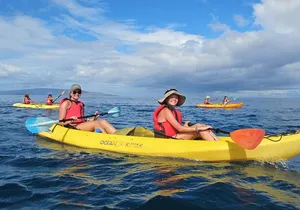 4-Hour Makena Whale Watch Tour