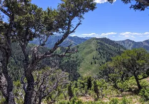 Park City Hiking Activity with Local Guide