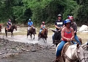 Combo Horse Back Riding and Zip Line in Vallarta